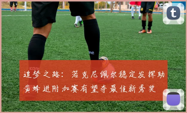 追梦之路：若克尼佩尔稳定发挥助黄蜂进附加赛有望夺最佳新秀奖