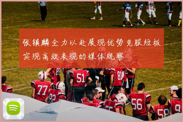 张镇麟全力以赴展现优势克服短板实现高效表现的媒体观察