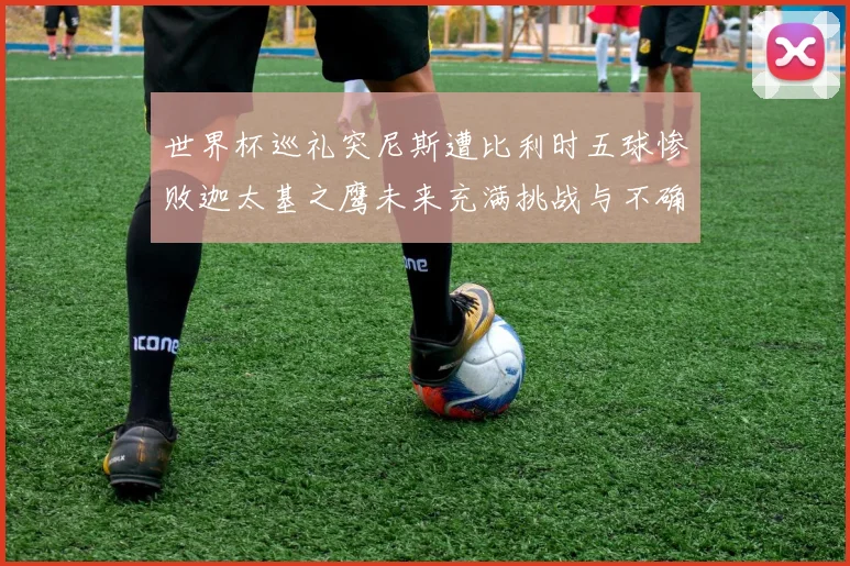 世界杯巡礼突尼斯遭比利时五球惨败迦太基之鹰未来充满挑战与不确定性