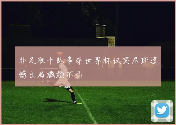 非足联十队争夺世界杯仅突尼斯遗憾出局尴尬不已